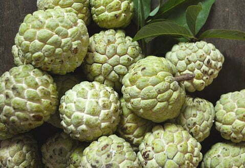 Atis, Sugar Apple, Sweetsop