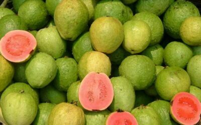 Bayawas, Bayabas, Guava