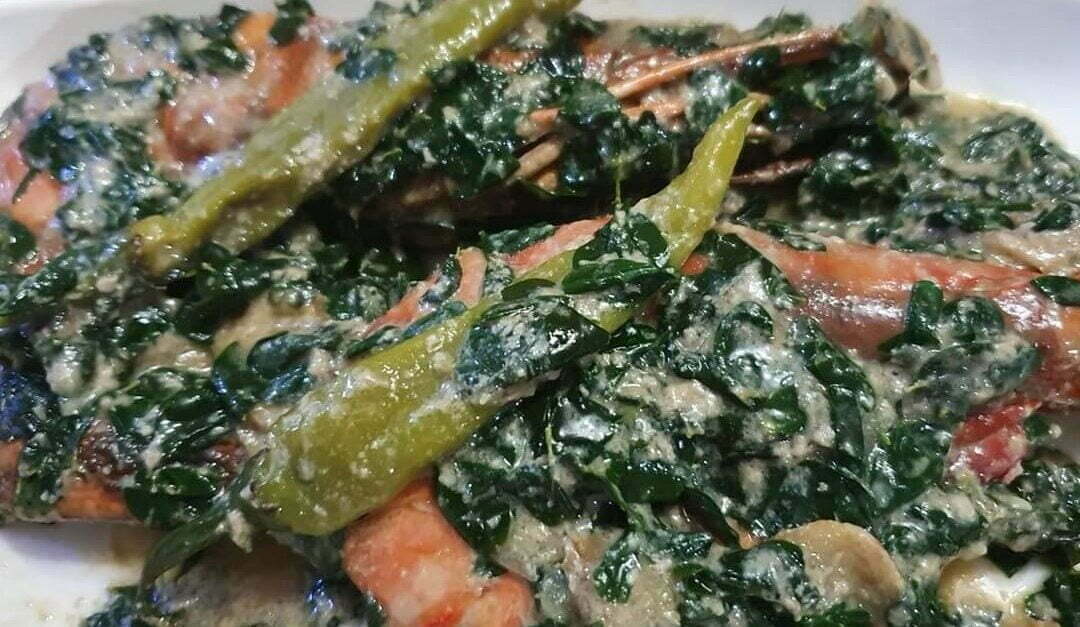 Ginataang Malunggay sa Hipon(Shrimps)