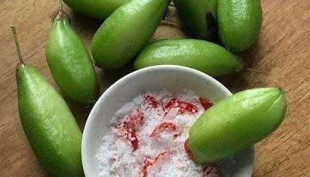 Iba, Kamias(Cucumber Tree)