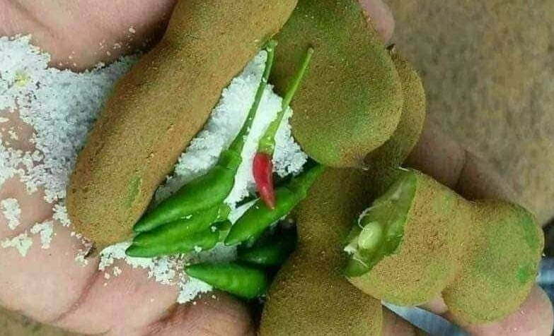 Tamarind Fruits, Sampalok