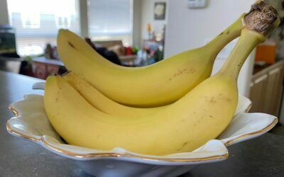 Bungran Bananas, Lakatan, Lacatan