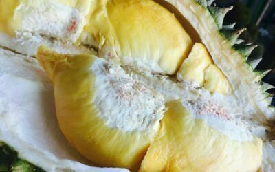 Durian