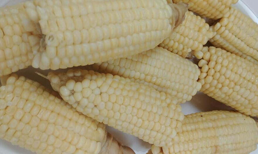 Nilagang Mais
