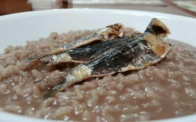 Chocolate Rice Porridge, Champorado, Samporado