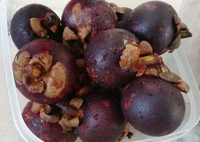 Mangosteen