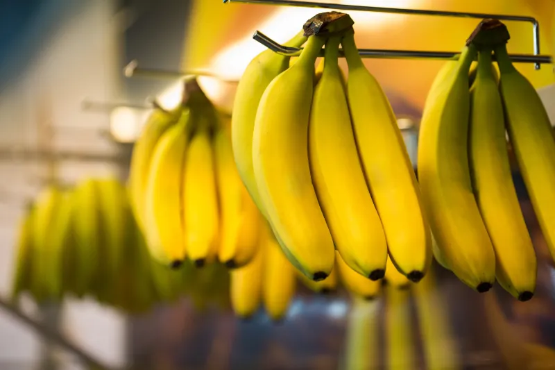 bananas-hanging-for-sale-at-the-supermarket-2022-12-31-04-53-28-utc