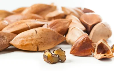 Pili Nuts