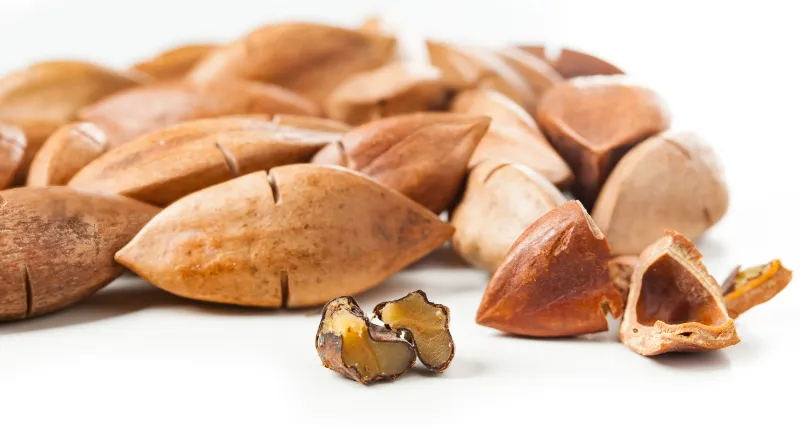 Pili Nuts