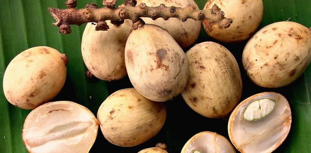 lanzones